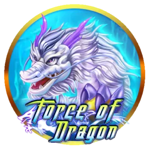 Right to Access Data